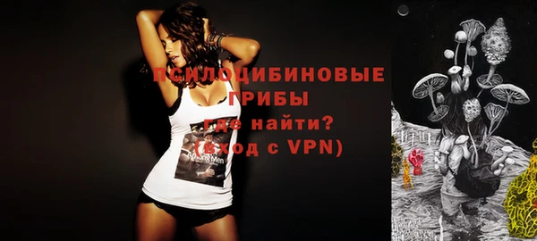 винт Надым
