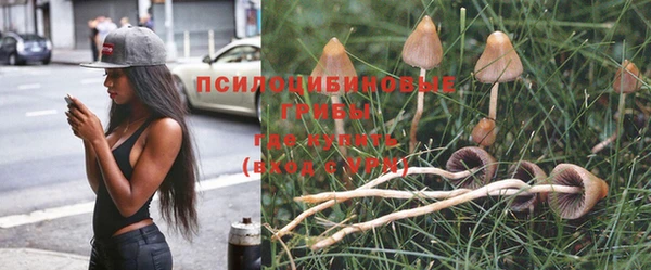 скорость Нея